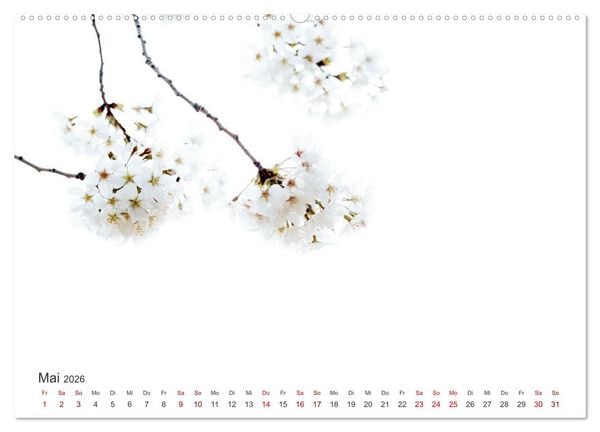 Produktbild: ZEN - Eine Reise zu sich selbst (hochwertiger Premium Wandkalender 2026 DIN A2 quer), Kunstdruck in Hochglanz