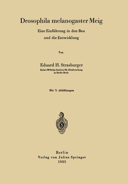 Produktbild: Drosophila melanogaster Meig