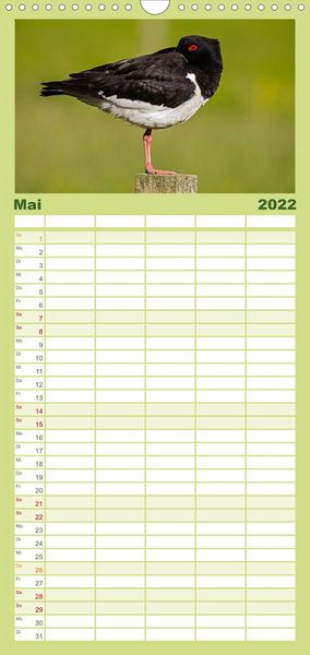 Produktbild: Familienplaner Die Orkneys - Schottlands n&ouml;rdliche Inseln (Wandkalender 2022 , 21 cm x 45 cm, hoch)