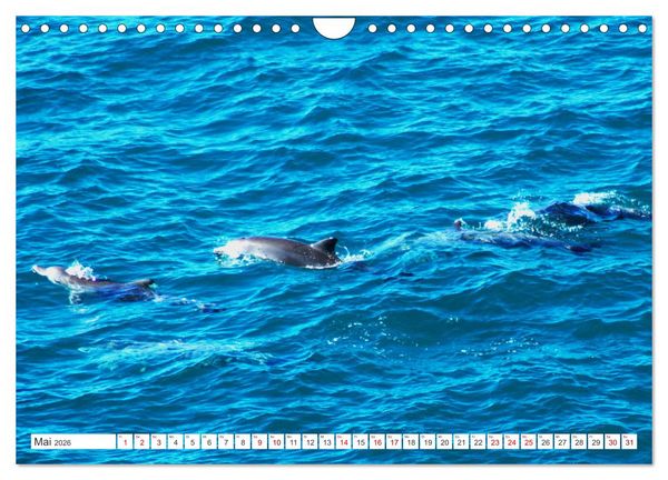 Produktbild: K&uuml;stenparadies - Noosa Nationalpark Australien (Wandkalender 2026 DIN A4 quer), CALVENDO Monatskalender