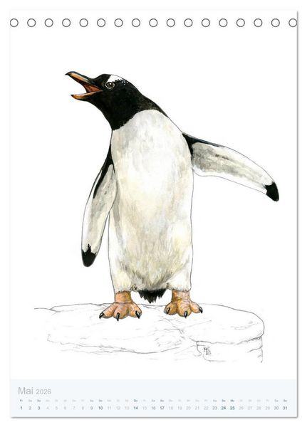 Produktbild: Pinguine - 13 Illustrationen (Tischkalender 2026 DIN A5 hoch), CALVENDO Monatskalender
