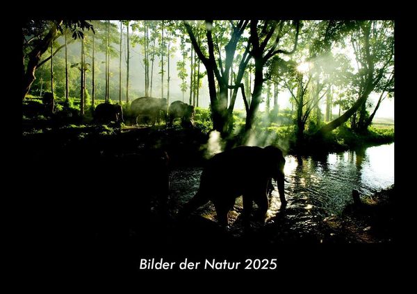Produktbild: Bilder der Natur 2025 Fotokalender DIN A3