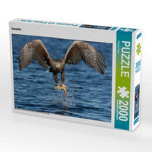 CALVENDO Puzzle Seeadler | 2000 Teile Lege-Größe 90x67cm Foto-Puzzle für glückliche Stunden