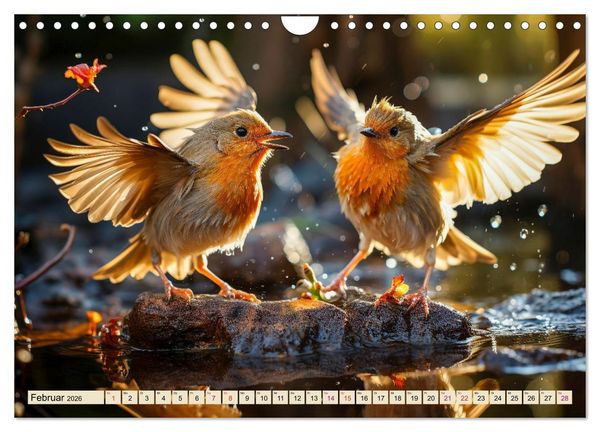 Produktbild: V&ouml;gel Alltag (Wandkalender 2026 DIN A4 quer), CALVENDO Monatskalender