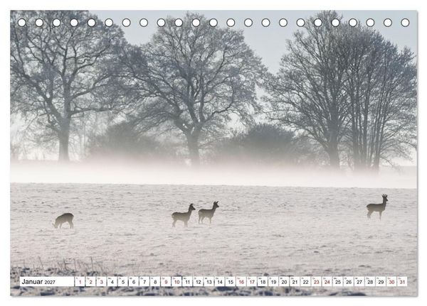 Produktbild: Wildtiere im M&uuml;ritz-Nationalpark (Tischkalender 2027 DIN A5 quer), CALVENDO Monatskalender