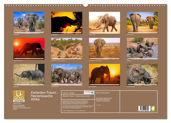 Produktbild: Elefanten-Traum - Herzenssache Afrika (Wandkalender 2026 DIN A2 quer), CALVENDO Monatskalender