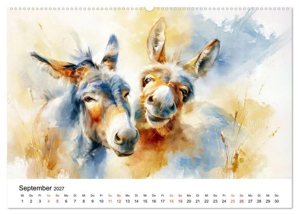 Produktbild: Esel - Wenn Ruhe ein Gesicht h&auml;tte (hochwertiger Premium Wandkalender 2027 DIN A2 quer), Kunstdruck in Hochglanz