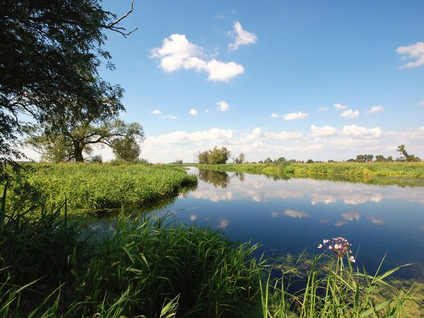 Produktbild: CALVENDO Puzzle Sommerliches Havelland 1000 Teile Lege-Gr&ouml;&szlig;e 64 x 48 cm Foto-Puzzle Bild von Anja Frost