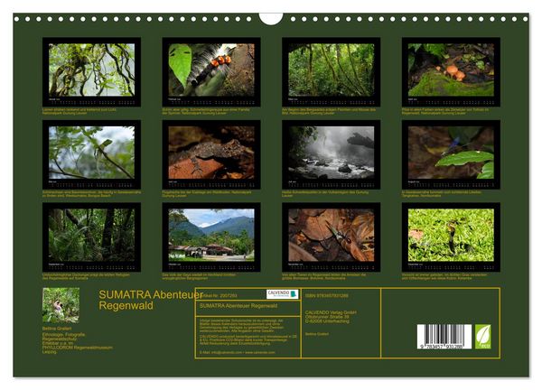 Produktbild: SUMATRA Abenteuer Regenwald (Wandkalender 2026 DIN A3 quer), CALVENDO Monatskalender