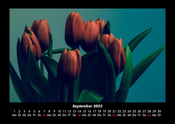 Produktbild: Blumenkalender 2025 Fotokalender DIN A3