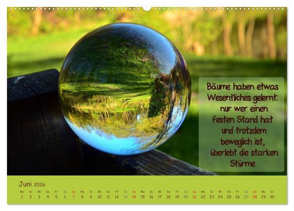 Produktbild: Wunderbare Waldkugeln (hochwertiger Premium Wandkalender 2026 DIN A2 quer), Kunstdruck in Hochglanz