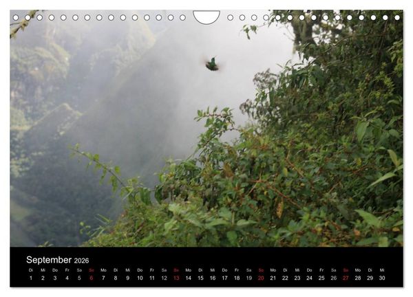 Produktbild: Machu Picchu - Peru (Wandkalender 2026 DIN A4 quer), CALVENDO Monatskalender
