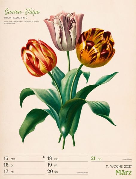 Produktbild: Ars Floralis Wochenplaner Kalender 2027