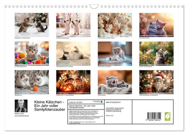 Produktbild: Kleine K&auml;tzchen - Ein Jahr voller Samtpfotenzauber (Wandkalender 2027 DIN A3 quer), CALVENDO Monatskalender