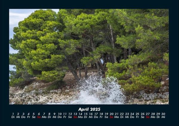 Produktbild: B&auml;ume 2025 Fotokalender DIN A4