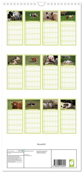 Produktbild: Familienplaner 2026 - Muuuhhh! mit 5 Spalten (Wandkalender, 21 x 45 cm) CALVENDO