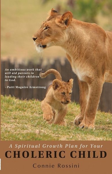 Produktbild: A Spiritual Growth Plan for Your Choleric Child