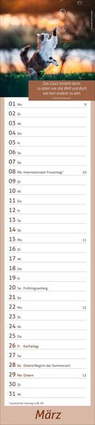Produktbild: times&more Tage voller Gl&uuml;ck Langplaner 2027