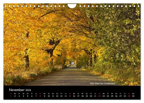 Produktbild: Landschaften im Norden (Wandkalender 2026 DIN A4 quer), CALVENDO Monatskalender