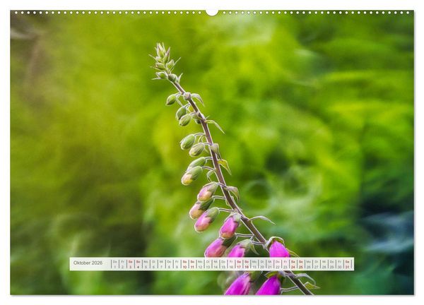 Produktbild: Traumhafte Waldstimmung am Rennsteig im Th&uuml;ringer Wald (hochwertiger Premium Wandkalender 2026 DIN A2 quer), Kunstdruck in Hochglanz