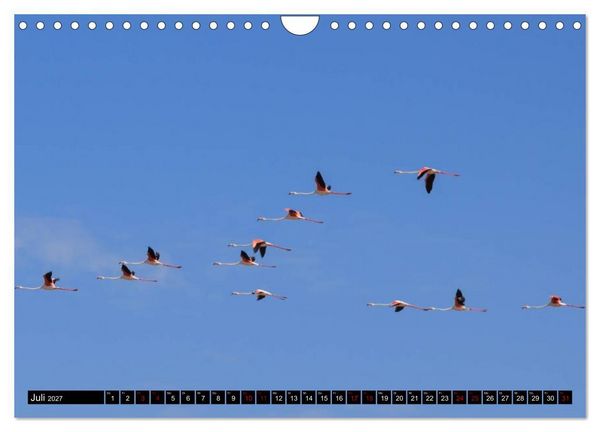 Produktbild: Faszination Sardinien (Wandkalender 2027 DIN A4 quer), CALVENDO Monatskalender