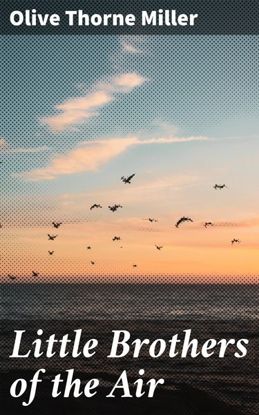 Produktbild: Little Brothers of the Air