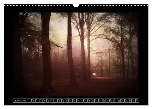 Produktbild: Der Reichswald bei Kleve (Wandkalender 2026 DIN A3 quer), CALVENDO Monatskalender