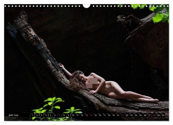 Produktbild: Saint-Tropez Les paysages et le nu (Calendrier mural 2026 DIN A3 vertical), CALVENDO calendrier mensuel