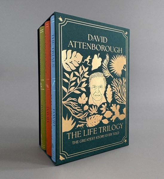 Produktbild: LIFE TRILOGY BOXSET HB+