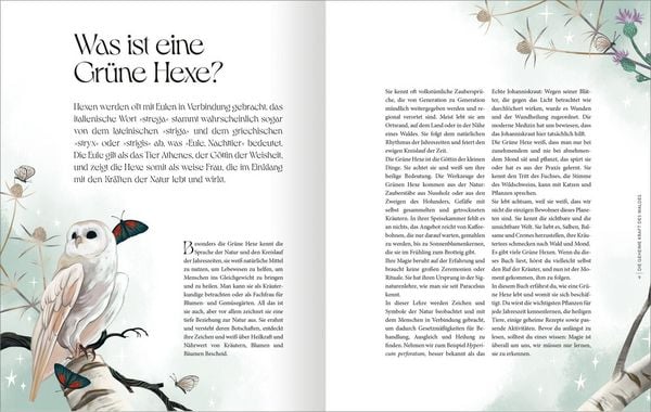 Produktbild: Die geheime Kraft des Waldes