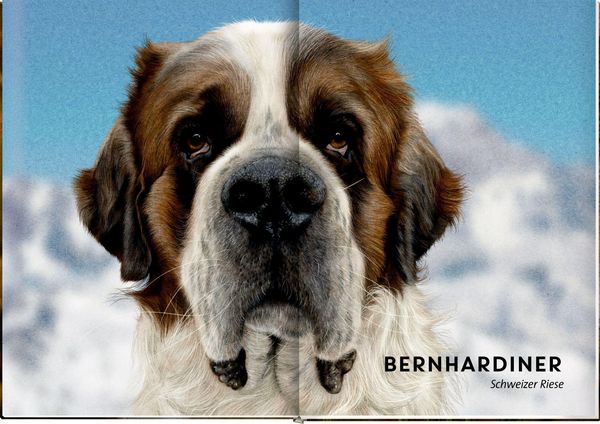 Produktbild: Lebensgro&szlig;