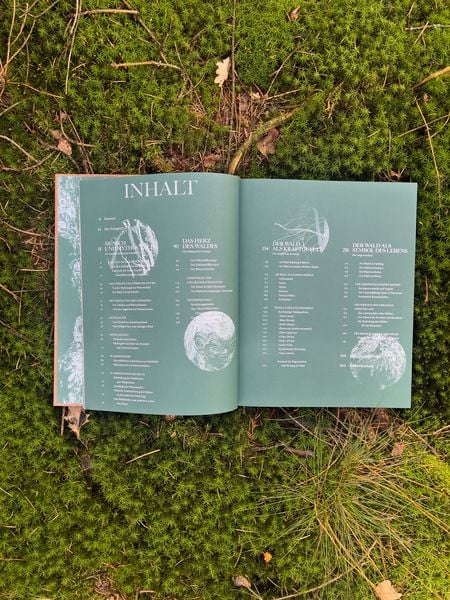 Produktbild: The Woods