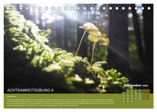 Produktbild: Achtsamkeit, 12 &Uuml;bungen zu mehr Achtsamkeit. (Tischkalender 2026 DIN A5 quer), CALVENDO Monatskalender