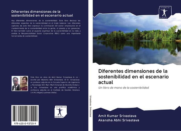 Produktbild: Diferentes dimensiones de la sostenibilidad en el escenario actual