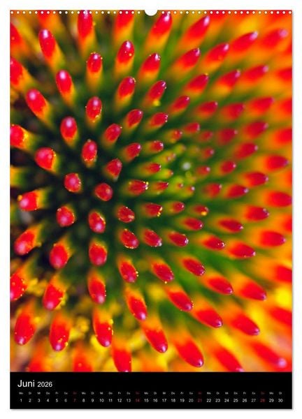 Produktbild: Kunst in der Natur (Wandkalender 2026 DIN A2 hoch), CALVENDO Monatskalender