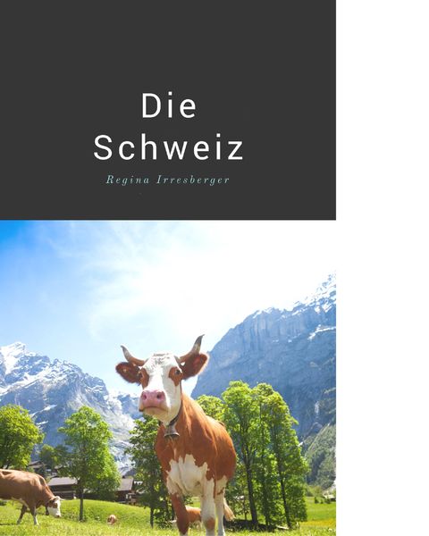 Produktbild: Schweiz