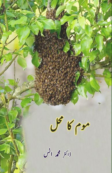 Produktbild: Mom ka Mahal