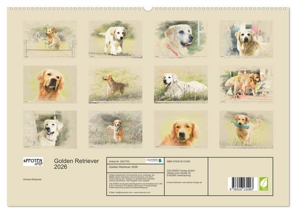 Produktbild: Golden Retriever 2026 (hochwertiger Premium Wandkalender 2026 DIN A2 quer), Kunstdruck in Hochglanz