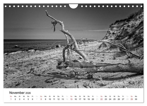 Produktbild: Ostseebad Zingst - Impressionen in Schwarz-Wei&szlig; (Wandkalender 2026 DIN A4 quer), CALVENDO Monatskalender