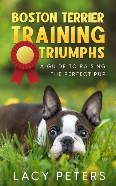 Produktbild: Boston Terrier Training Triumphs