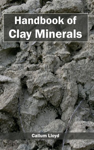 Produktbild: Handbook of Clay Minerals