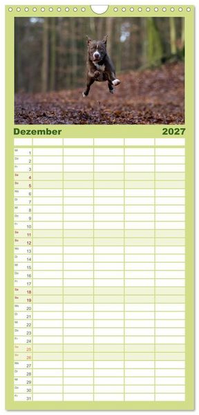 Produktbild: Familienplaner 2027 - Hunde Action mit 5 Spalten (Wandkalender, 21 x 45 cm) CALVENDO