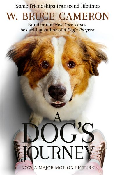 Produktbild: A Dog's Journey