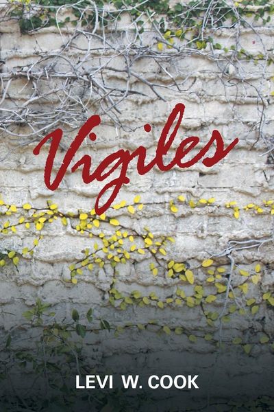 Produktbild: Vigiles