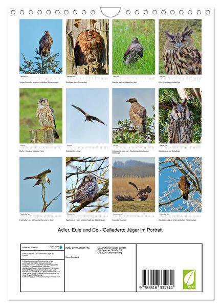Produktbild: Adler, Eule und Co - Gefiederte J&auml;ger im Portrait (Wandkalender 2026 DIN A4 hoch), CALVENDO Monatskalender