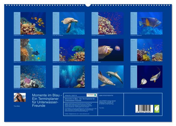 Produktbild: Momente im Blau - Ein Terminplaner f&uuml;r Unterwasser-Freunde (hochwertiger Premium Wandkalender 2026 DIN A2 quer), Kunstdruck in Hochglanz