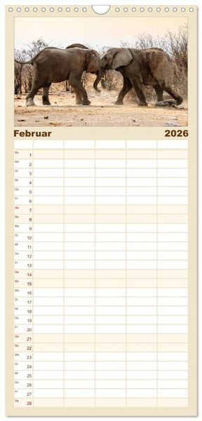 Produktbild: Familienplaner 2026 - Facetten Namibias mit 5 Spalten (Wandkalender, 21 x 45 cm) CALVENDO