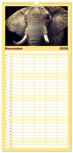 Produktbild: Familienplaner 2026 - Elefanten - Portraits der besonderen Art mit 5 Spalten (Wandkalender, 21 x 45 cm) CALVENDO