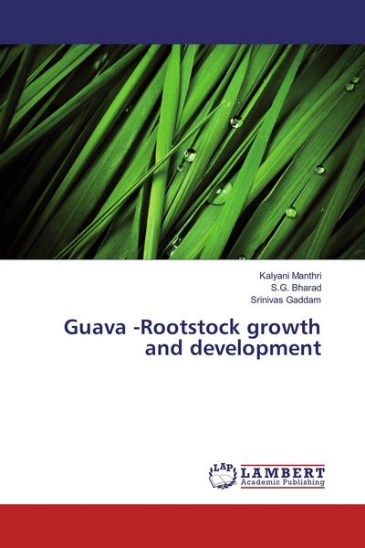 Produktbild: Guava -Rootstock growth and development
