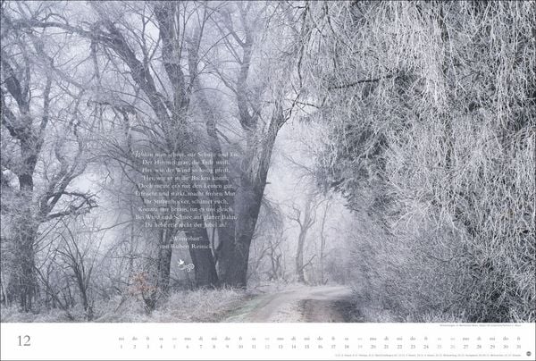 Produktbild: Der deutsche Wald - Ein literarischer Spaziergang Kalender 2027 - Ein literarischer Spaziergang